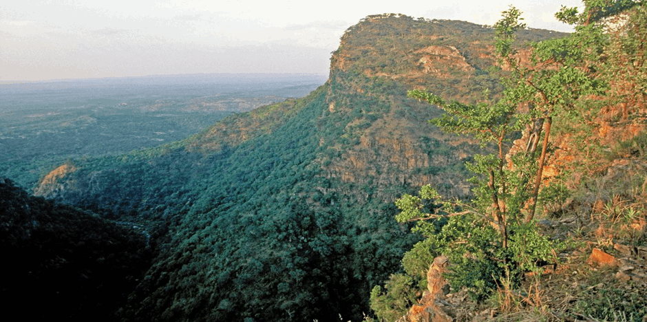 category photo