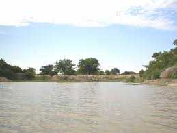 category photo