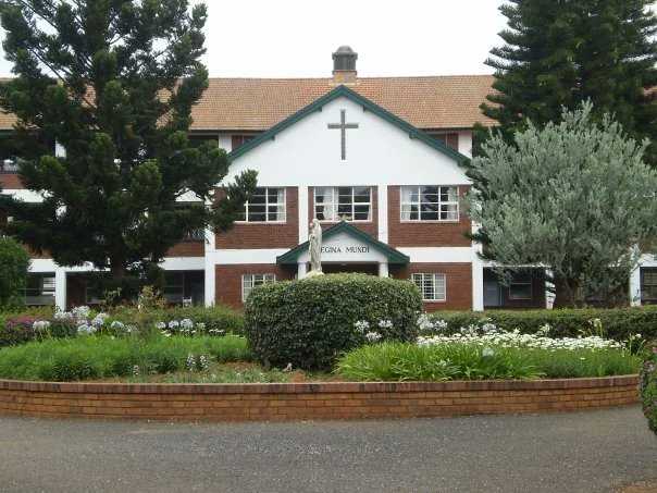 category photo