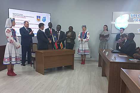 category photo