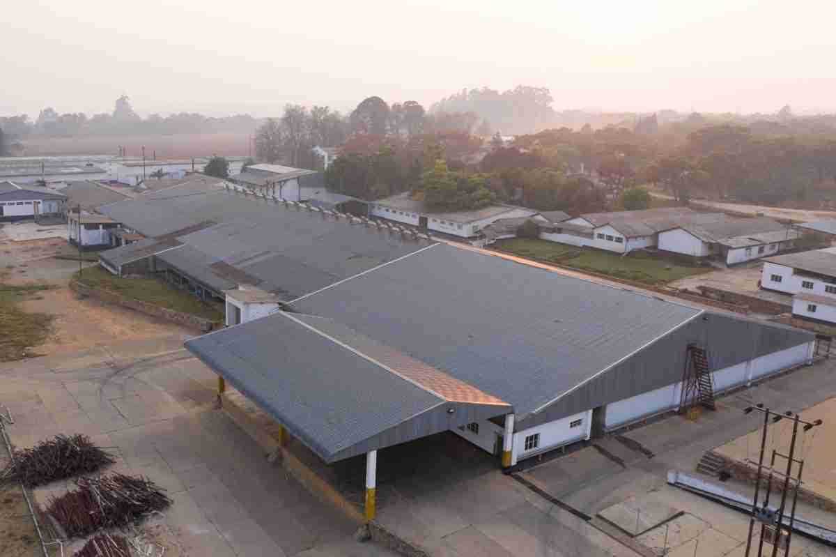 category photo