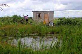 category photo
